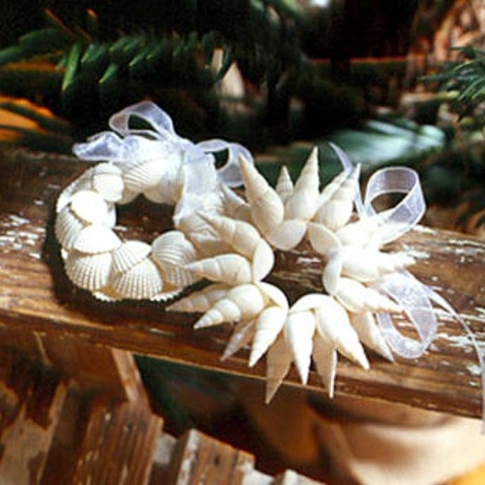 Seashell ornaments