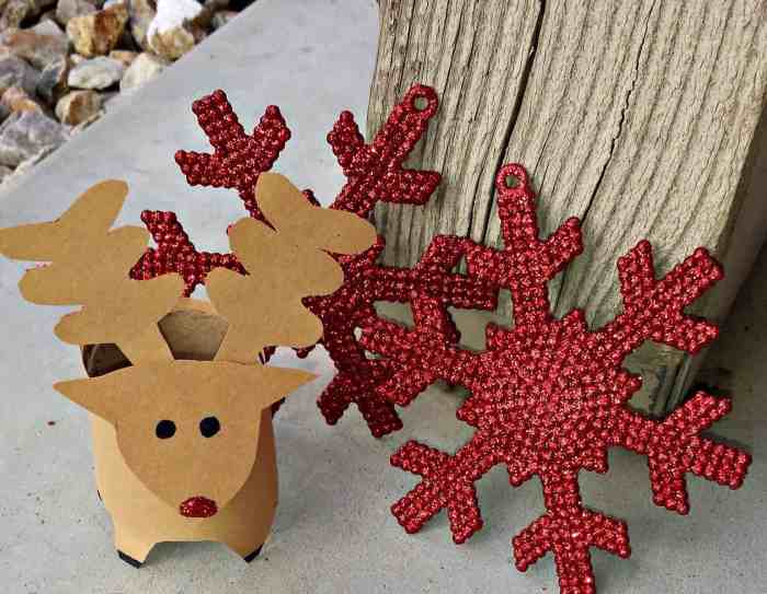 Diy ideas christmas decorations